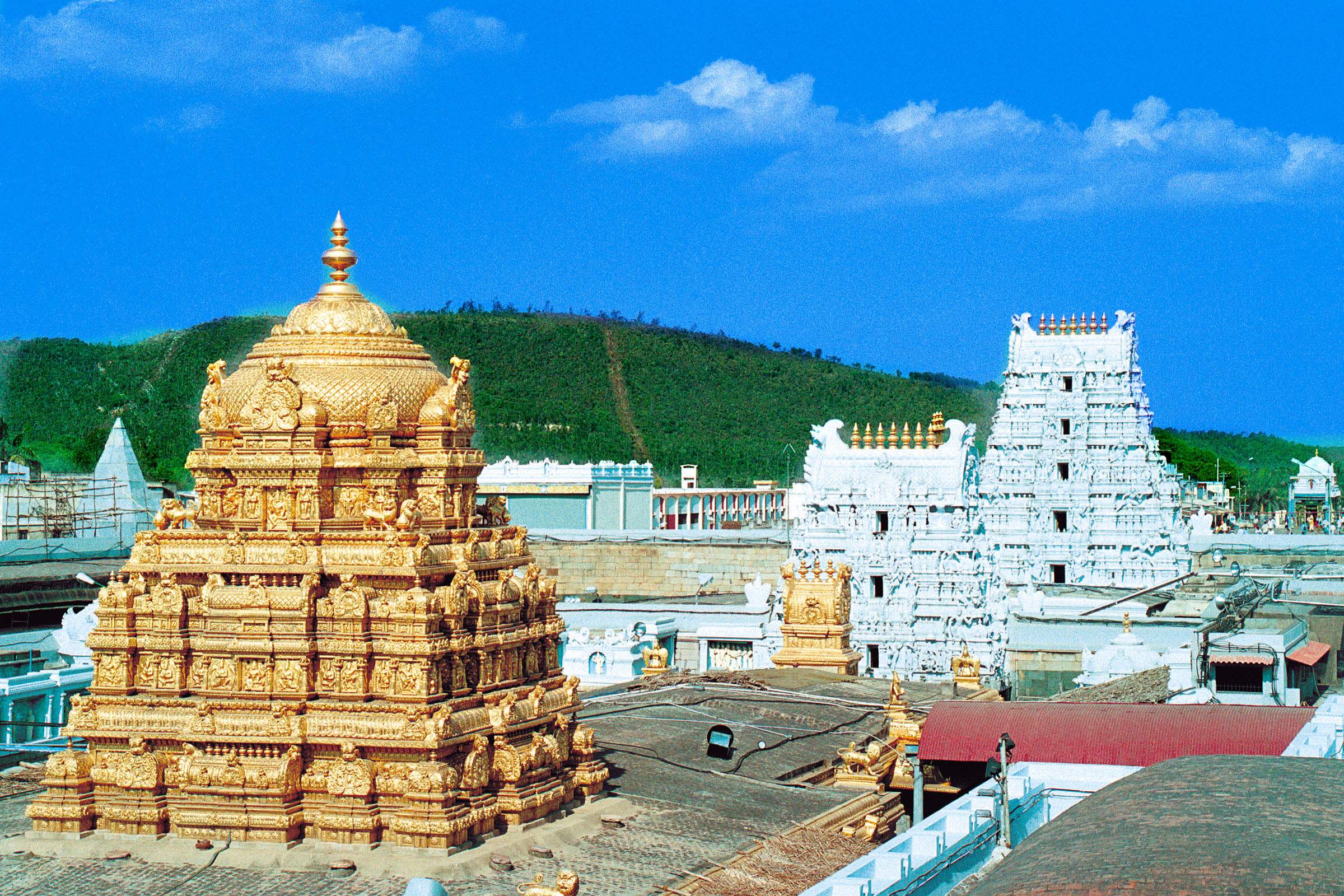 DN Darshan: Tirumala Tirupati temple, Andhra Pradesh ...