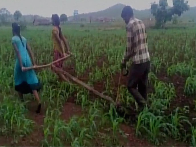 Indian farmers naked daughters