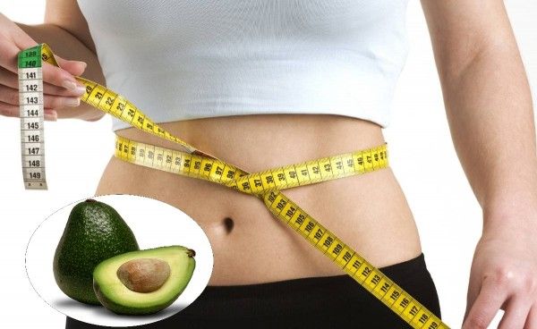 Avocado changes diet pattern in obese people - Zesacentral