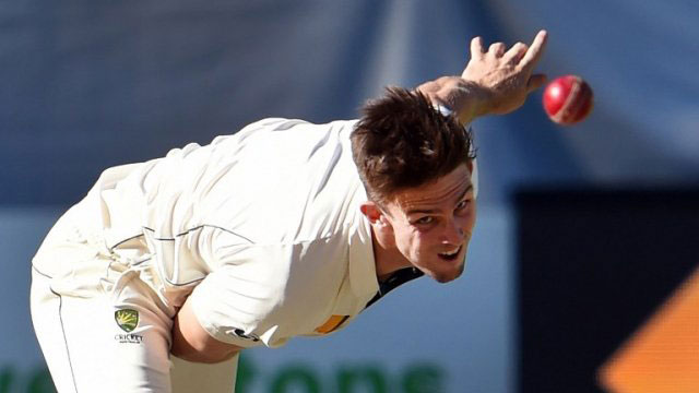 Marsh got injured during the Ind-Aus Test match