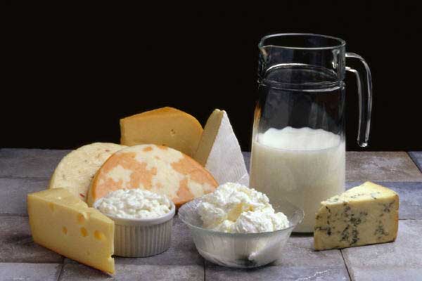 Dairy is an excellent source of protein for children
