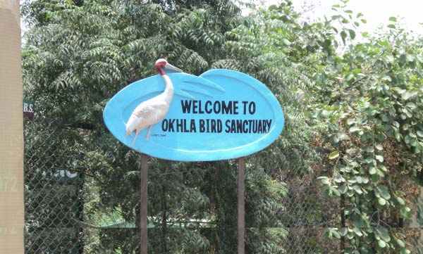 Outer view of Okhla bird sanctuary