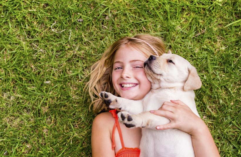 A dog may help disabilities children to incorporate more physical activity 