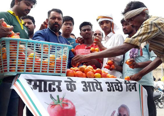 Congress workers sell tomatoes outside UP Assembly