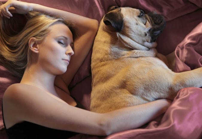 Sleeping with your pet in same bedroom is fine, but snuggling up with your pups in the same bed may affect your sleep quality (File Photo)