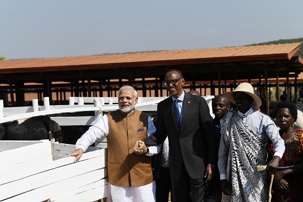 PM Modi gifts 200 cows to Rwanda 