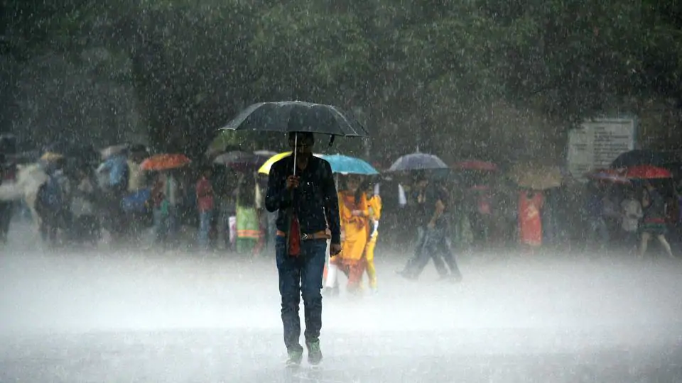 A site of delhi rain