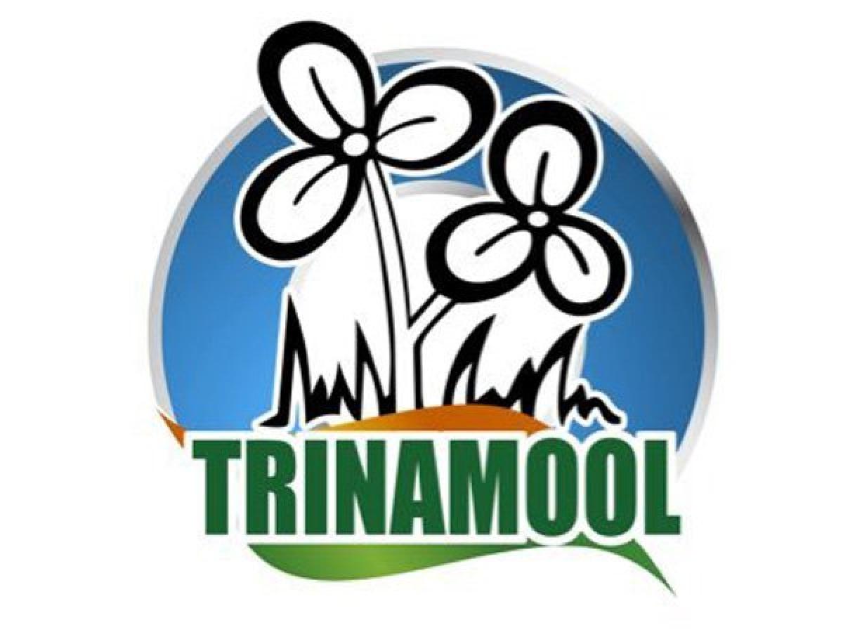 TMC new  logo