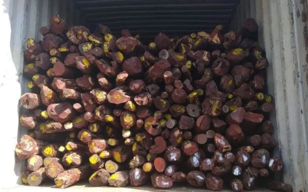 18 tonnes of red sanders worth Rs 9 crore seized in Chennai