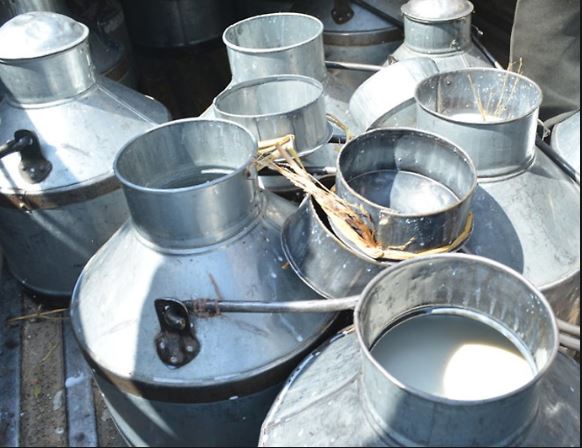 Synthetic milk racket busted in MP; 62 held - Dynamite News