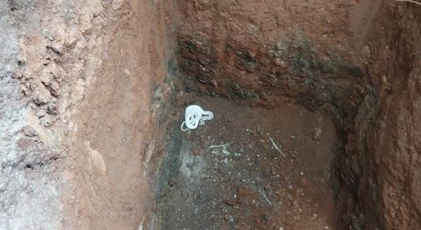 A white cobra was rescued from a pit in in Edayarpalayam area, Coimbatore
