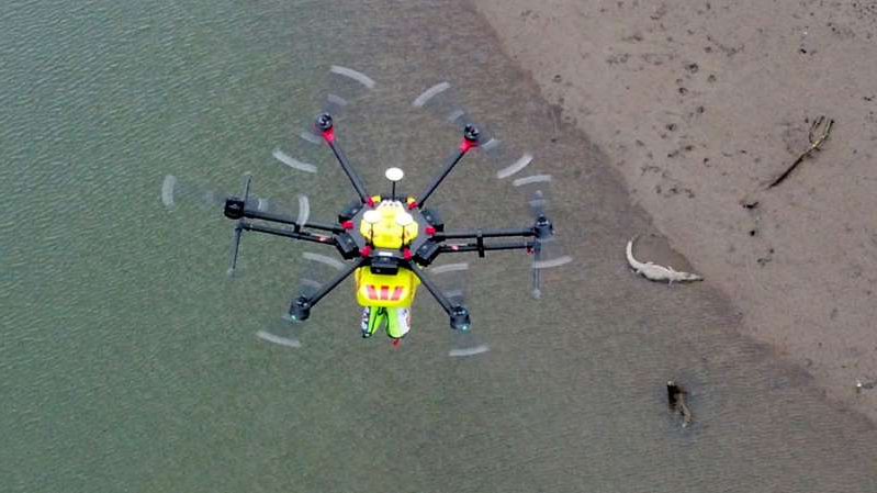 Shark-spotting drones on patrol at Australian beaches 