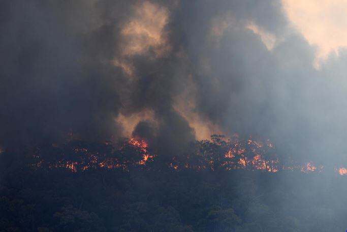 A sight of the  bushfires