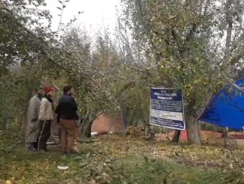 ED has confiscated 2 orchards in Anantnag under Prevention of Money Laundering Act