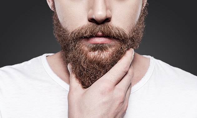 Women find bearded men more attractive, but there is a creepy-crawly catch  - Dynamite News
