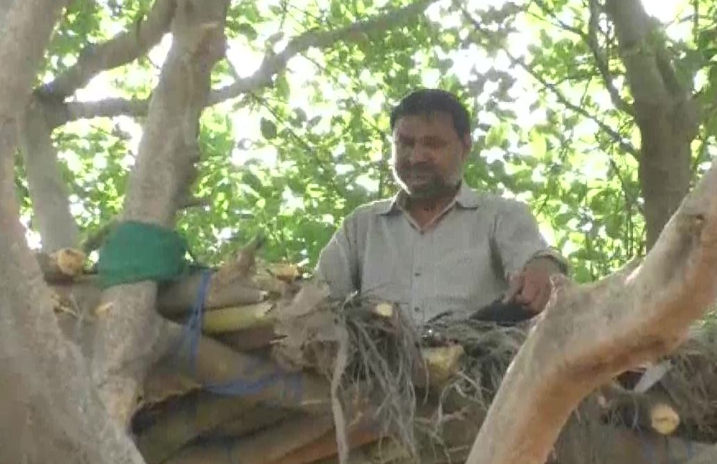 Man builds tree house in Hapur District, UP