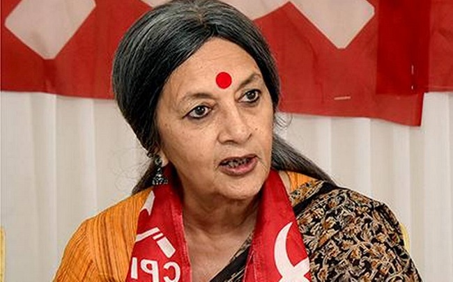 Communist Party of India (Marxist) leader Brinda Karat (File Photo)