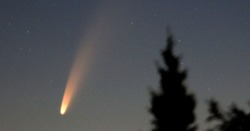 A photograph of comet shared by Dr. Subhendu Pattnaik, Deputy Director Pathani Samanta Planetarium, Bhubaneswar.