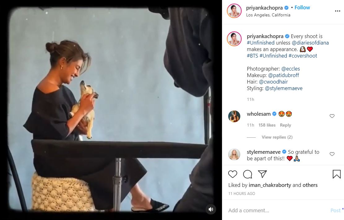 Priyanka Chopra shares BTS clip featuring pet Diana from 'Unfinished ...