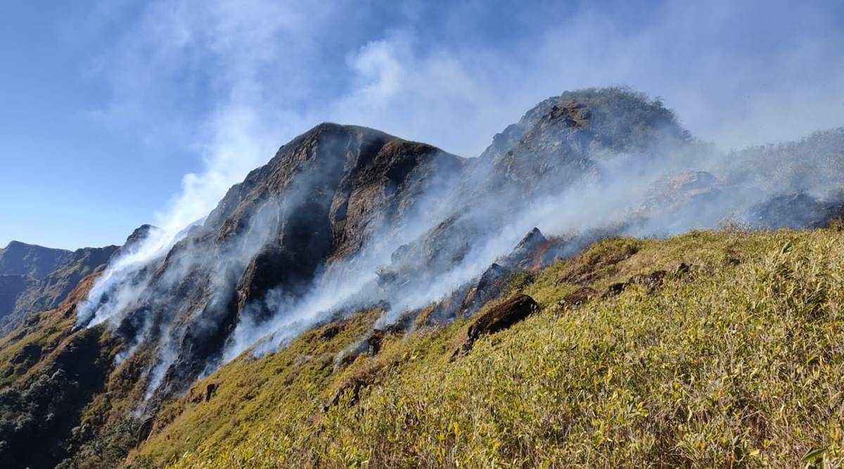 Dzukou Valley wildfire brought under control