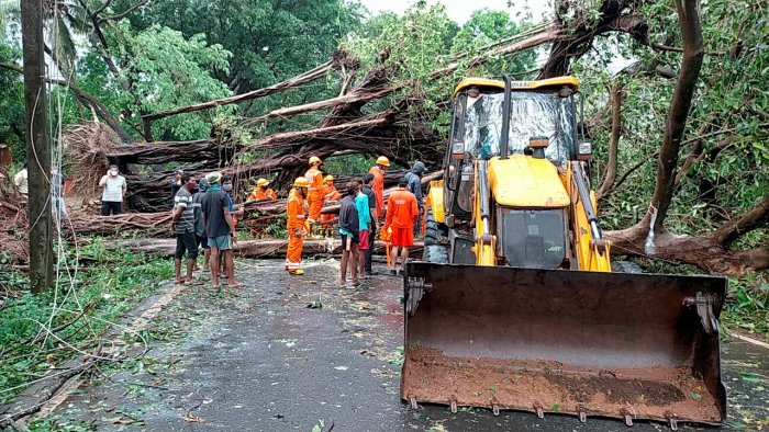 NDRF team clears a road blocked