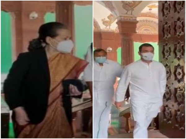 Congress interim President Sonia Gandhi and LS MP Rahul Gandhi arrived at Parliament.