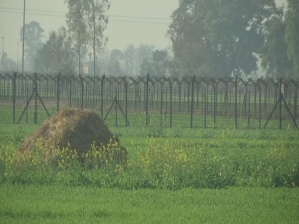 Mahawa village in Punjab