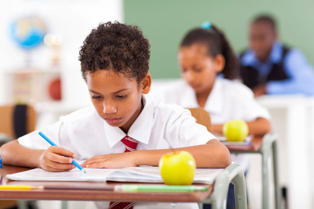 A student is studing in school (File Photo)