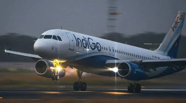 Panic in Delhi-bound IndiGo flight (File Photo)
