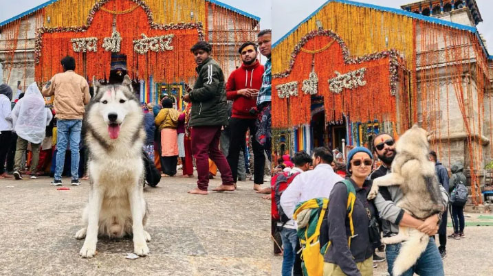 A person arrested for taking pet dog inside Kedarnath shrine