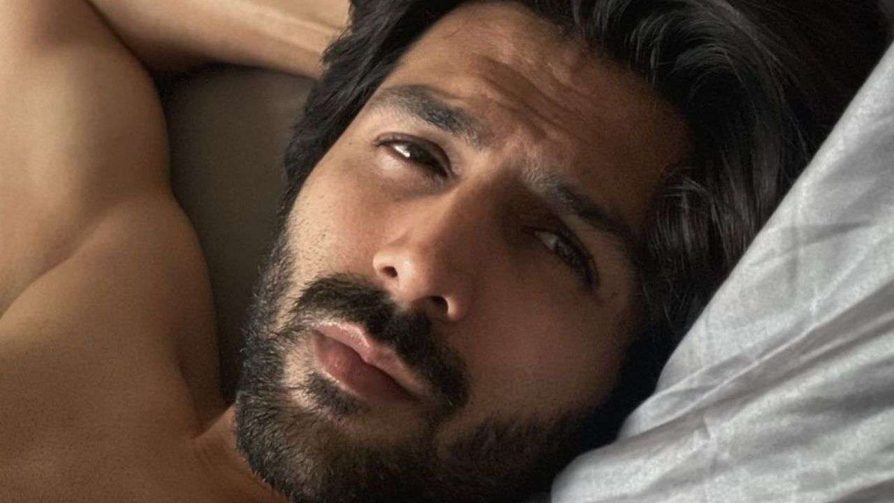 Bollywood Actor Kartik Aaryan (File Photo)