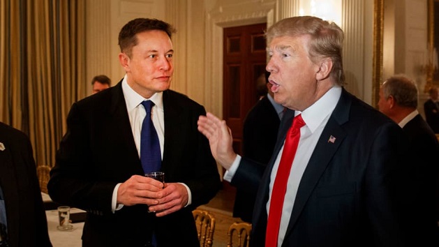 Former US President Donald Trump and Tesla CEO Elon Musk