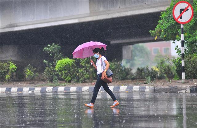 Rain brings mercury level down in Delhi (File Photo)