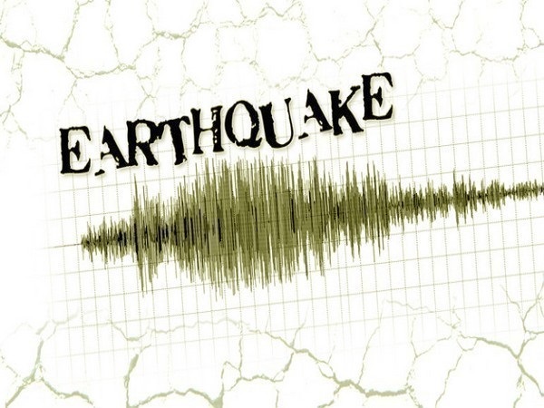 Another earthquake of 4.4 magnitude jolts Andaman and Nicobar islands (File Photo)