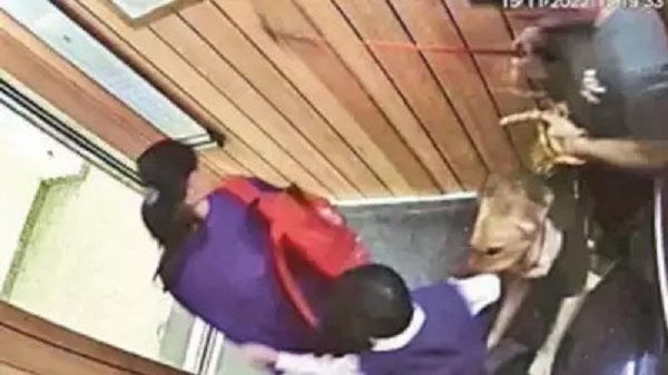 CCTV footage shows the dog pouncing on the boy in the lift