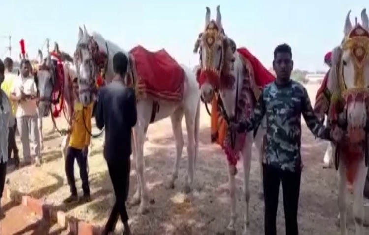 Bachelors at the procession in Solapur