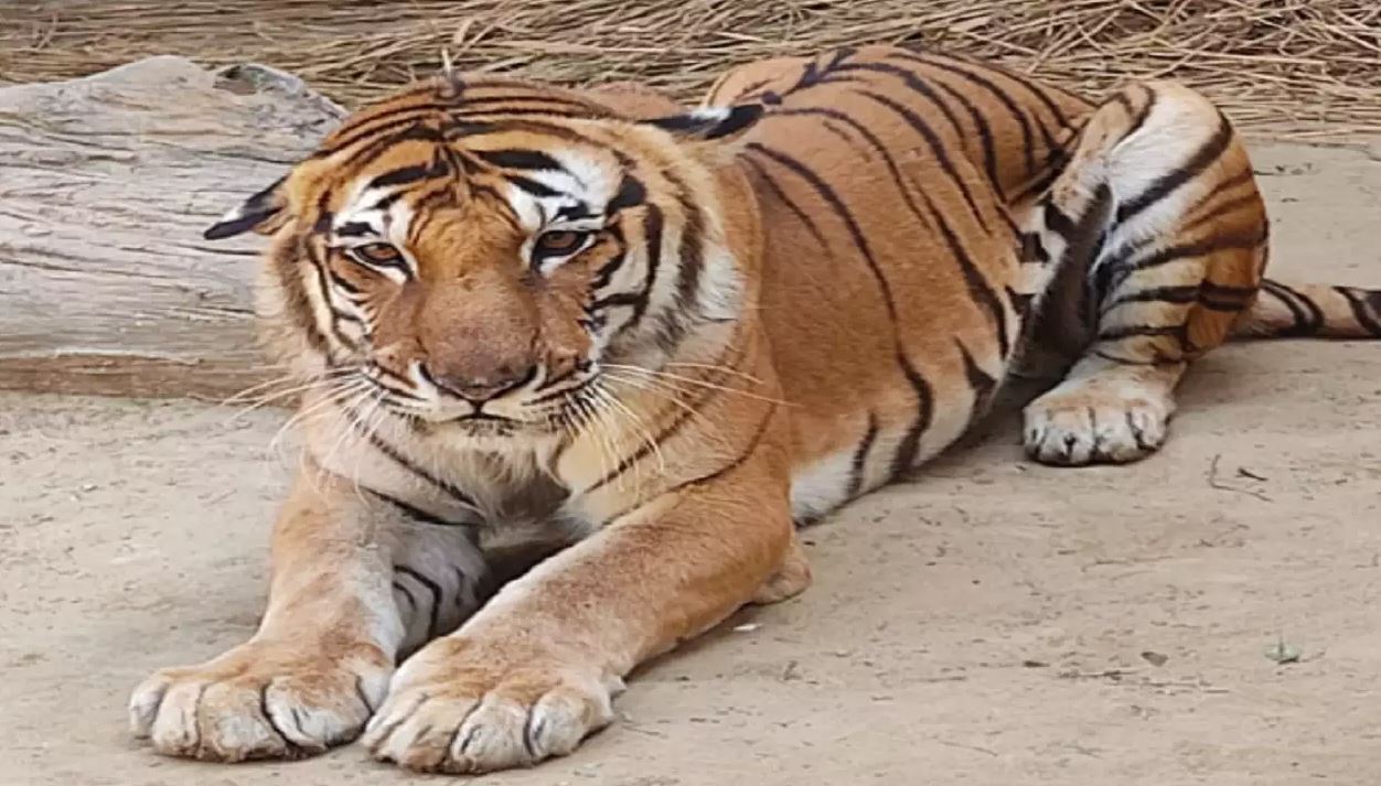 Kishan at Zoological Park Lucknow