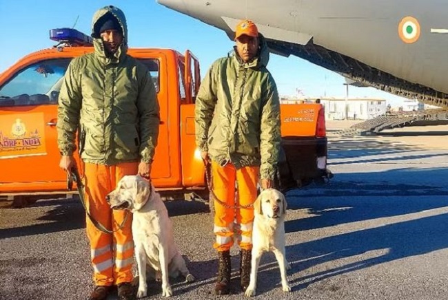 NDRF's Labrador who save six-year-old girl in quake-hit Turkey