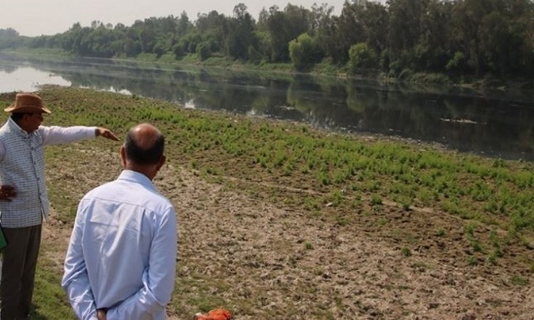 LG Saxena inspects Yamuna floodplains