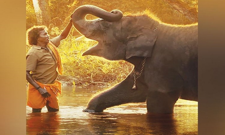 Poster of Elephant Whisperers