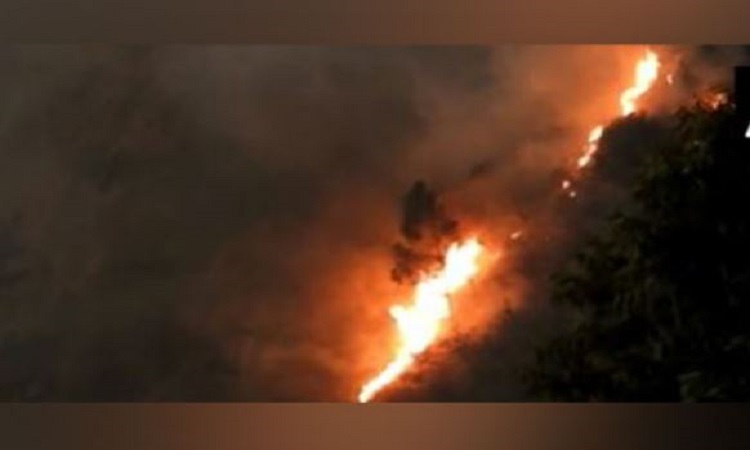 Visuals of forest fire near Kodaikanal hills in Dindigul district