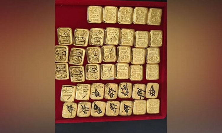 Gold biscuits seized by the BSF team