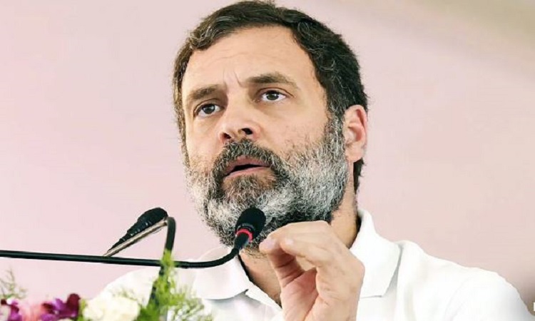 Rahul Gandhi (File)