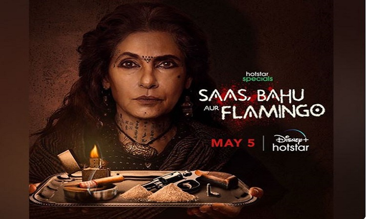 Saas Bahu aur Flamingo poster