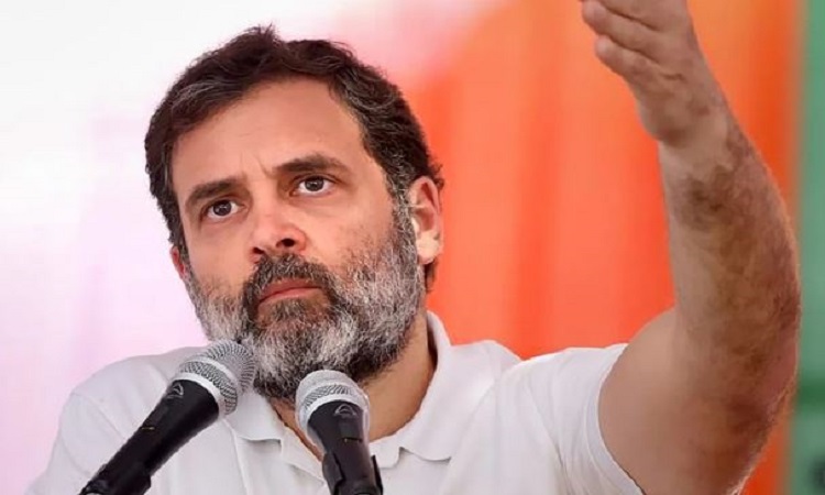 Rahul Gandhi (File)