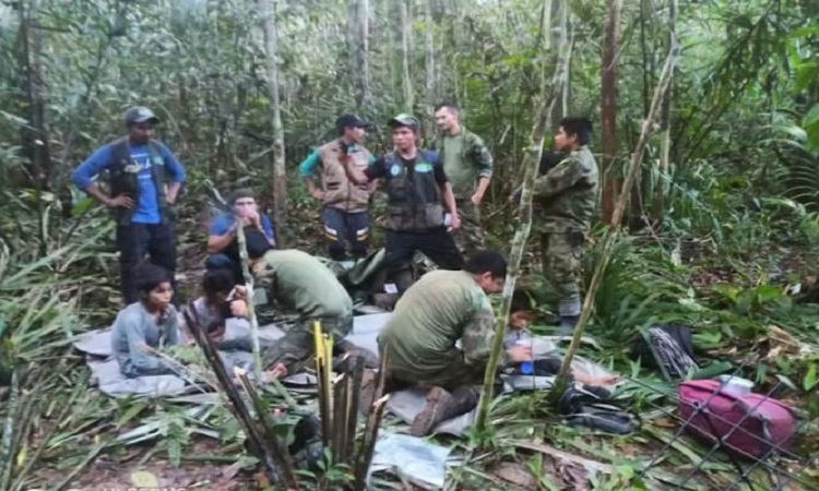 4 children lost in Amazon jungle for 40 days found alive