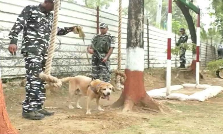 CRPF Special Dog Squad deployed in Udhampur