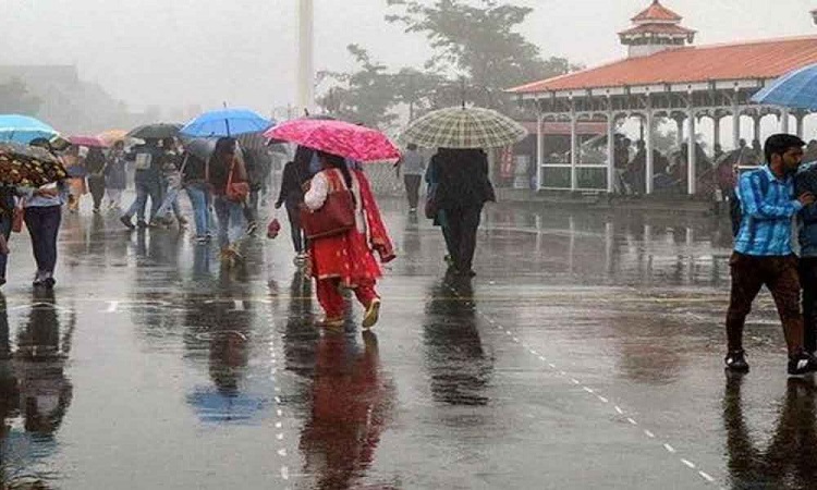 Heavy rain lashes Shimla
