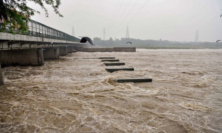The water in the Yamuna breached the danger-level