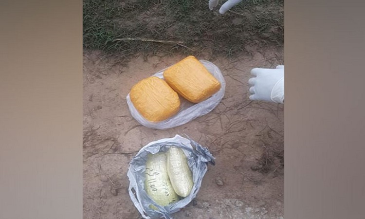 Seized drugs by the BSF troops